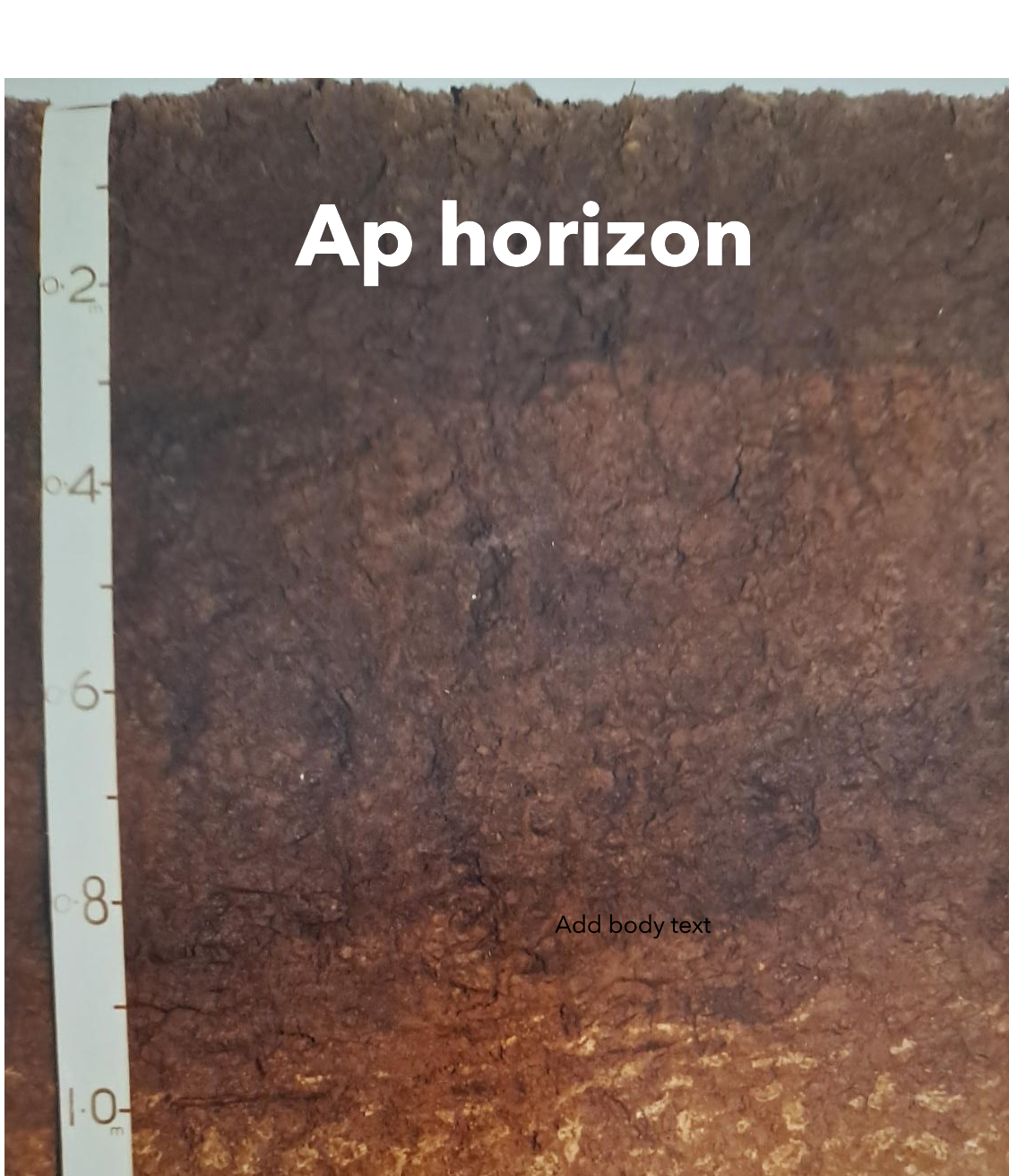 Figure showing A1 and A2 horizon examples